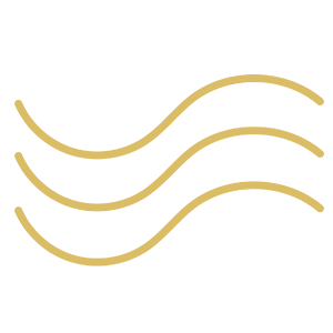 Placeholder Icon
